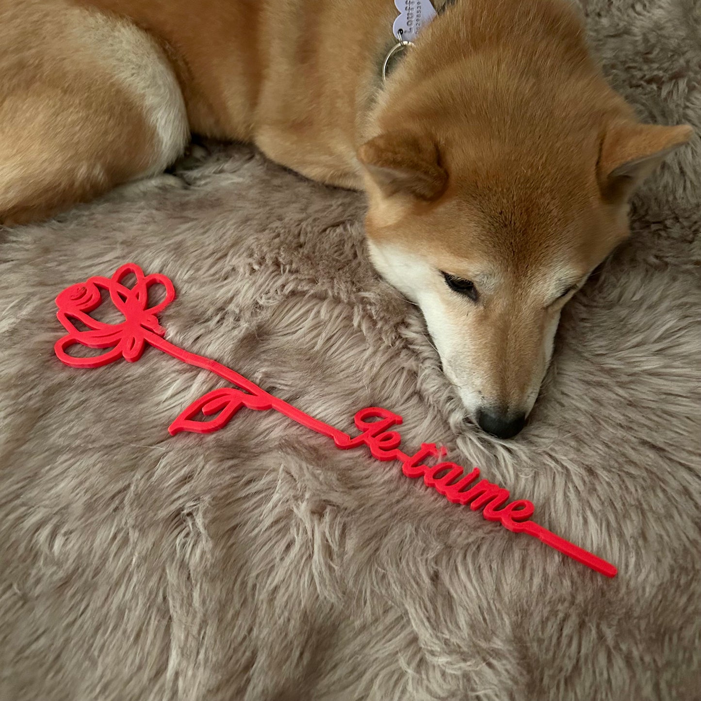 🌹 Rose Éternelle Personnalisée – Cadeau Symbolique pour Couple, Anniversaire ou Saint-Valentin