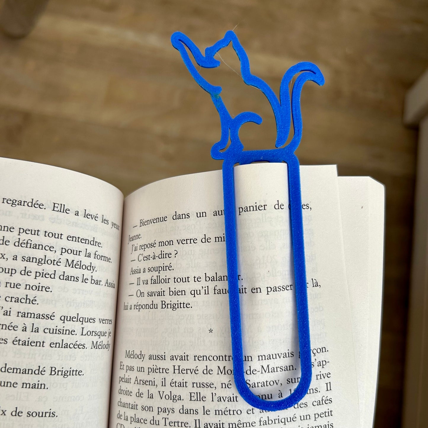 Marque-page personnalisé avec prénom et couleur – Idée cadeau original pour lecteur, modèles chat, cœur ou chien